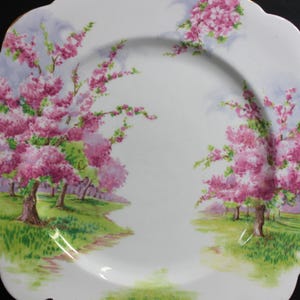 Royal Albert &quot;Blossom Time&quot;  8 3/4&quot; Square Luncheon Plate, Fine Bone China, English Import Perfect Condition Looks New