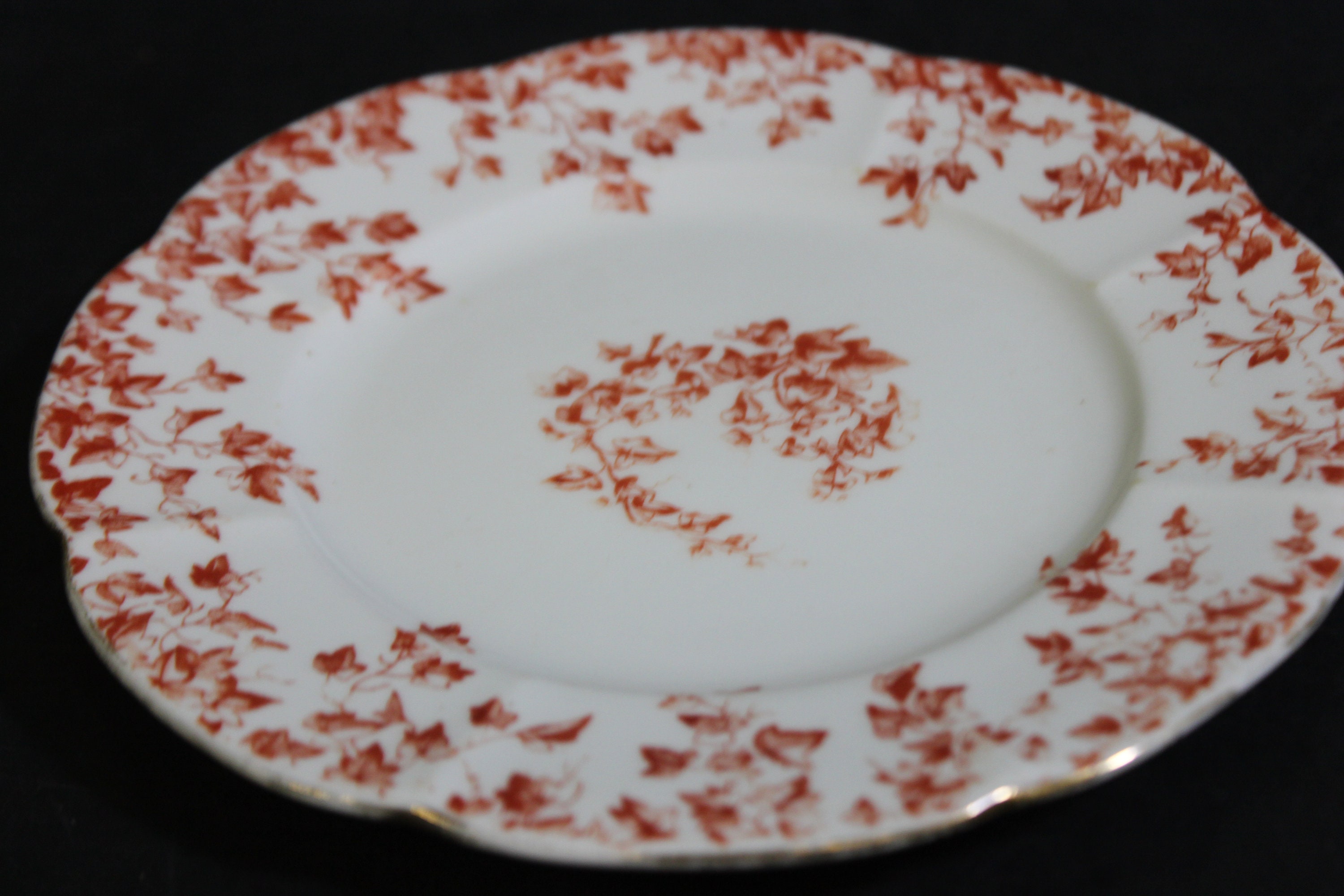 Rare Antique Wileman Foley China Ivy Terracotta Pattern