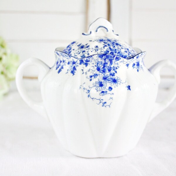 Shelley "Dainty Blue" Covered Sugar - Vintage Blue Sugar, Tea Party Sugar, Dainty Blue Large Sugar Bowl