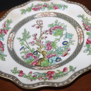 Coalport Indian Tree 8 3/4&quot;  Scalloped Multicolor Luncheon Plate, Older Pattern English Floral Plate, Indian Tree Pattern Old Mark