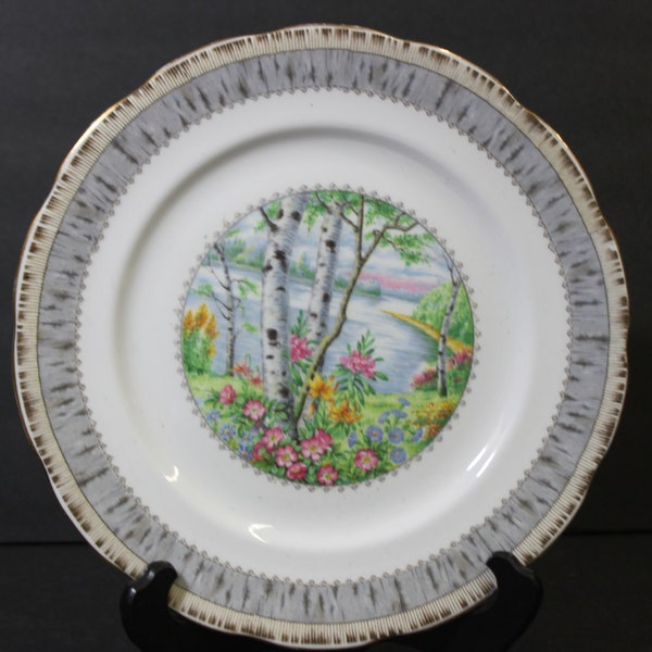 Royal Albert  "Silver Birch" 10"  Dinner Plates , English Production, Superb  Condition