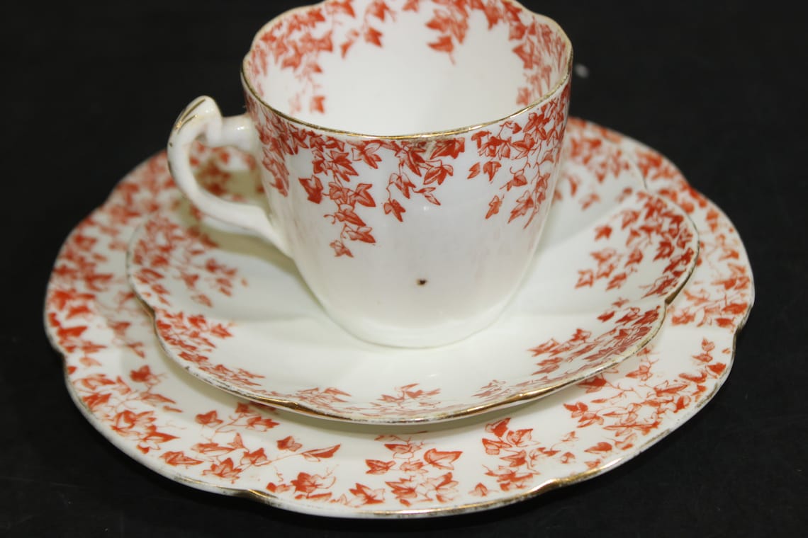 Rare Antique Wileman Foley China Ivy Terracotta Pattern #5097 Trio 1890 ...