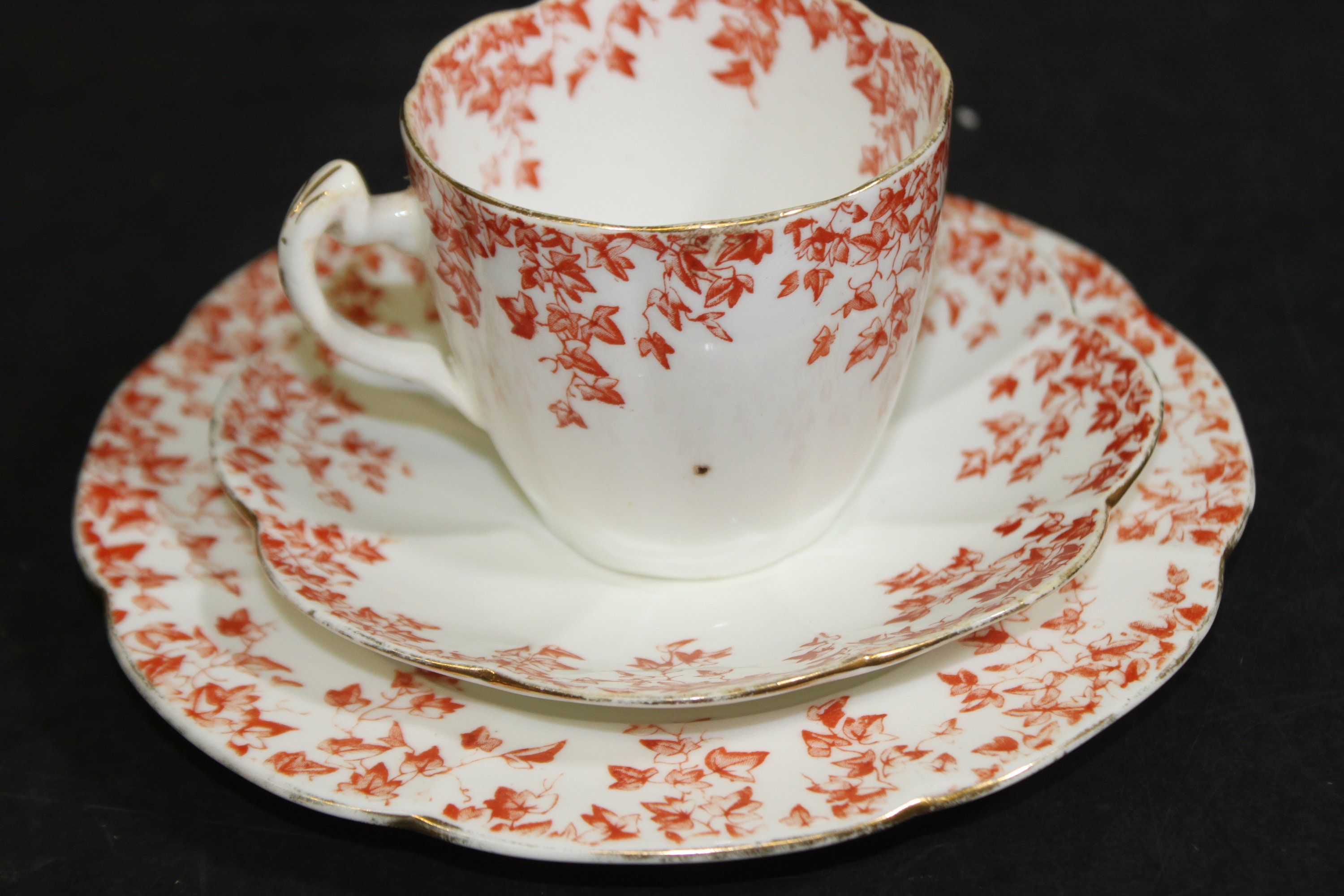 Rare Antique Wileman Foley China Ivy Terracotta Pattern 5097 Trio