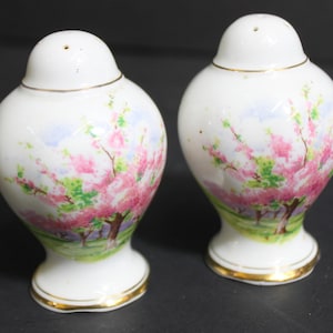 Royal Albert &quot;Blossom Time&quot;  Salt & Pepper Shakers, Fine Bone China, English Import Perfect Condition Looks New