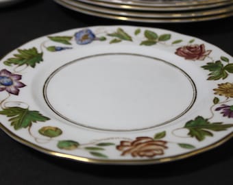 ロイヤルウースター ディナープレート、紫、青、黄、赤の花柄ボーダー