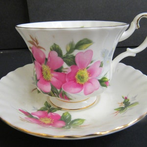 Royal Albert &quot;Prairie Rose &quot; Teacup & Saucer,  Tea party teacup, pretty teacup, floral teacup, FREE SHIPPING