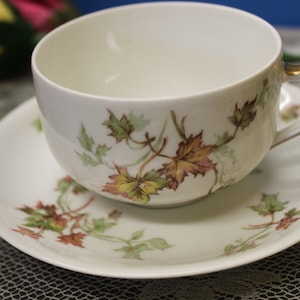 Vintage Haviland Limoges France Teacup - Delicate Fall Foliage Porcelain, Hand Painted  Antique Teacup, French Teacup, FREE SHIPPING