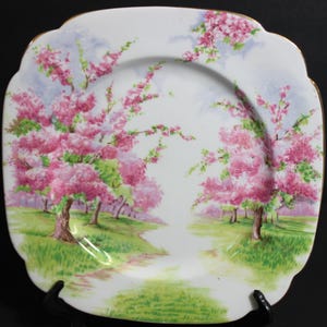 Royal Albert &quot;&quot;Blossom Time&quot;&quot; 7-Zoll-Salz- oder Dessertteller, feines Bone China, englischer Import Perfekter Zustand sieht neu aus.&quot;