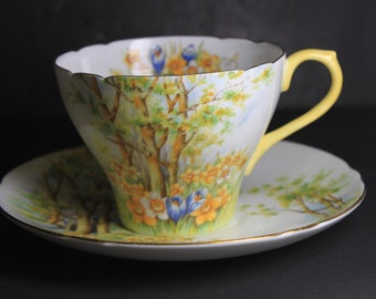 皆様画像確認用 ③ シェリー ダフォディルタイム  水仙 風景画 カップ シェリー ③ ダフォディルタイム 水仙 風景画 カップ ビンテージ