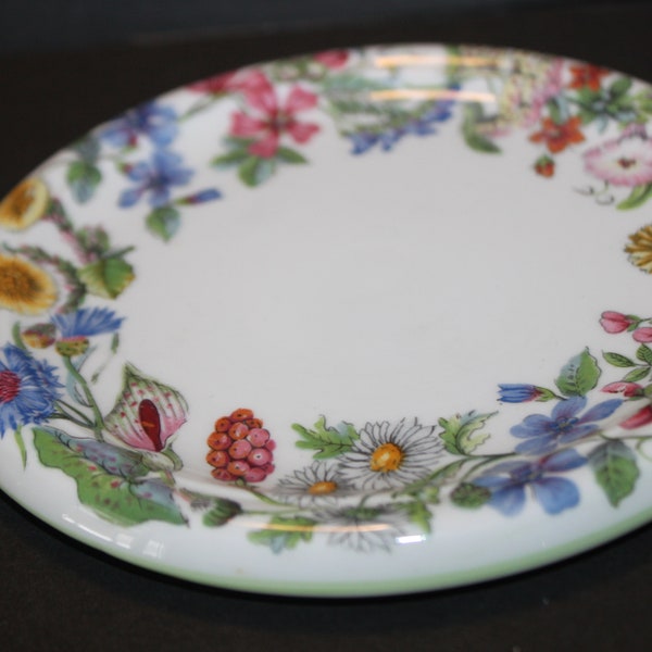 Shelley "Hedgerow" Trivet  Pastel Green Rim. Wonderful Condition