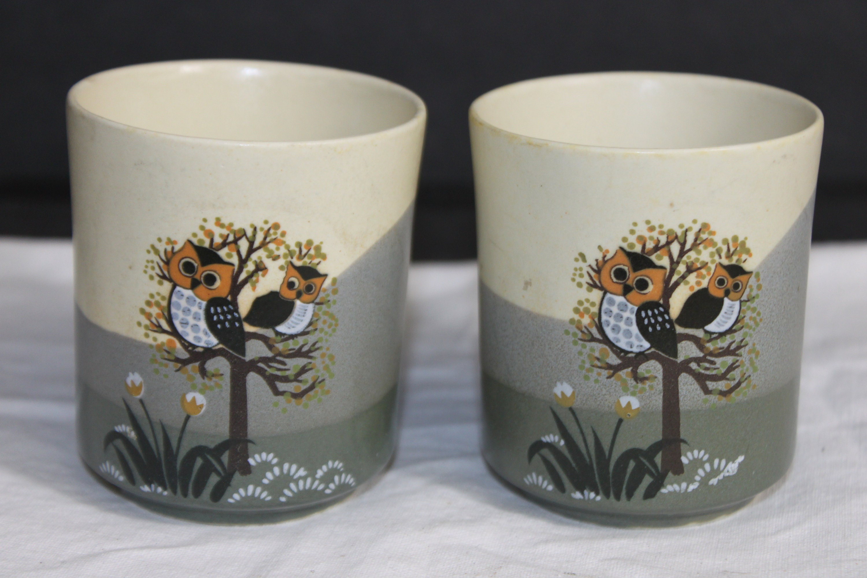 Hand Painted Owl Mugs: Japanese Coffee Cups, Set of 2