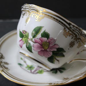 Spode Stafford White - Etsy