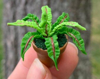 Miniatures Clay Flowers Art Handmade Tiny fern Cute Hand Painted Flower