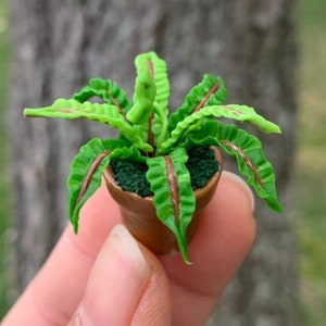 Miniatures Clay Flowers Art Handmade Tiny fern Cute Hand Painted Flower