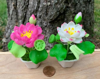 Miniatures Lotus- Water lily In The Pot Hand Sculpted Clay Flowers Home Decor Handmade Miniature flowers