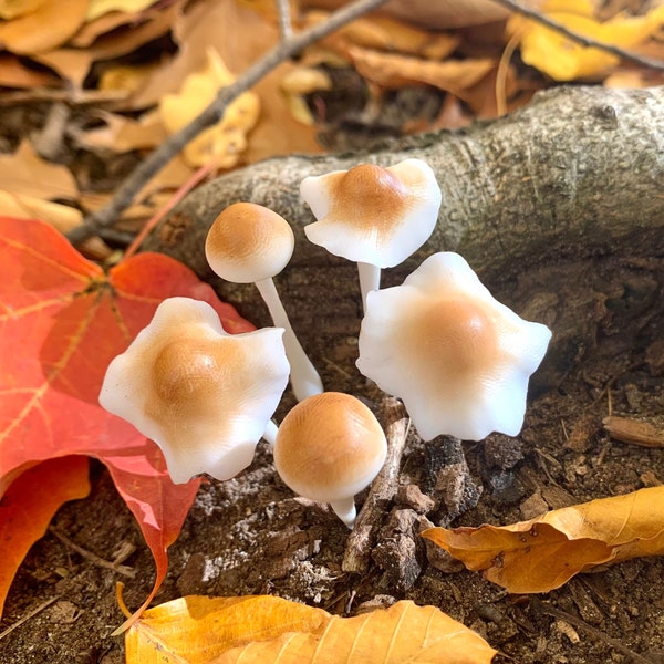 Realistic Mushrooms 1 Set Of 5 Mushrooms Various Sizes Handmade Cute Hand Painted Clay Art /Mushrooms  (5 Single Mushrooms)