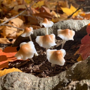 Realistic Mushrooms 1 Set Of 6  Mushrooms Various Sizes Handmade Cute Hand Painted Clay Art  (6 Single Mushrooms)