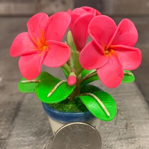 Hawaii Plumeria Flowers Hand Sculpted Clay Flowers Home Decor Handmade Wedding Mini Flower Hand Painted Cute Flower Hot Pink image 2