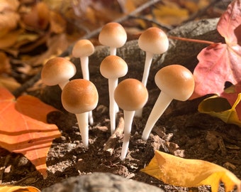 Realistic Mushrooms 1 Set Of 8 Young Mushrooms Various Sizes Handmade Miniature Cute Hand Painted Clay Art  (8 Single Mushrooms)