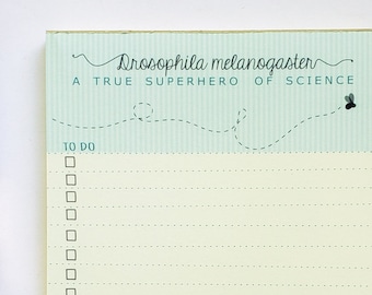 Set of 2 - Drosophila To Do List and Lined Notepads | Fruit Fly Stationary | Biology Chemistry | Teacher Student Scientist Professor