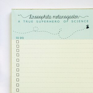 May include: A light blue notepad with a white background and black lines. The notepad has a title that reads "Drosophila melanogaster A TRUE SUPERHERO OF SCIENCE" and a to-do list with checkboxes. The notepad has a small fly illustration in the top right corner and a small fly illustration in the bottom right corner.