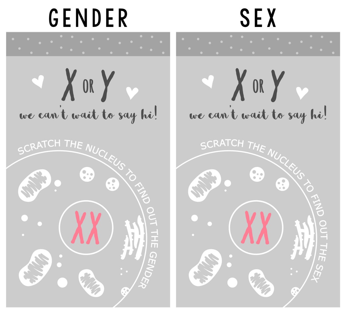 Xy Or Xx Gender Sex Reveal Scratch Off Cards Pack Of 12 Etsy Canada