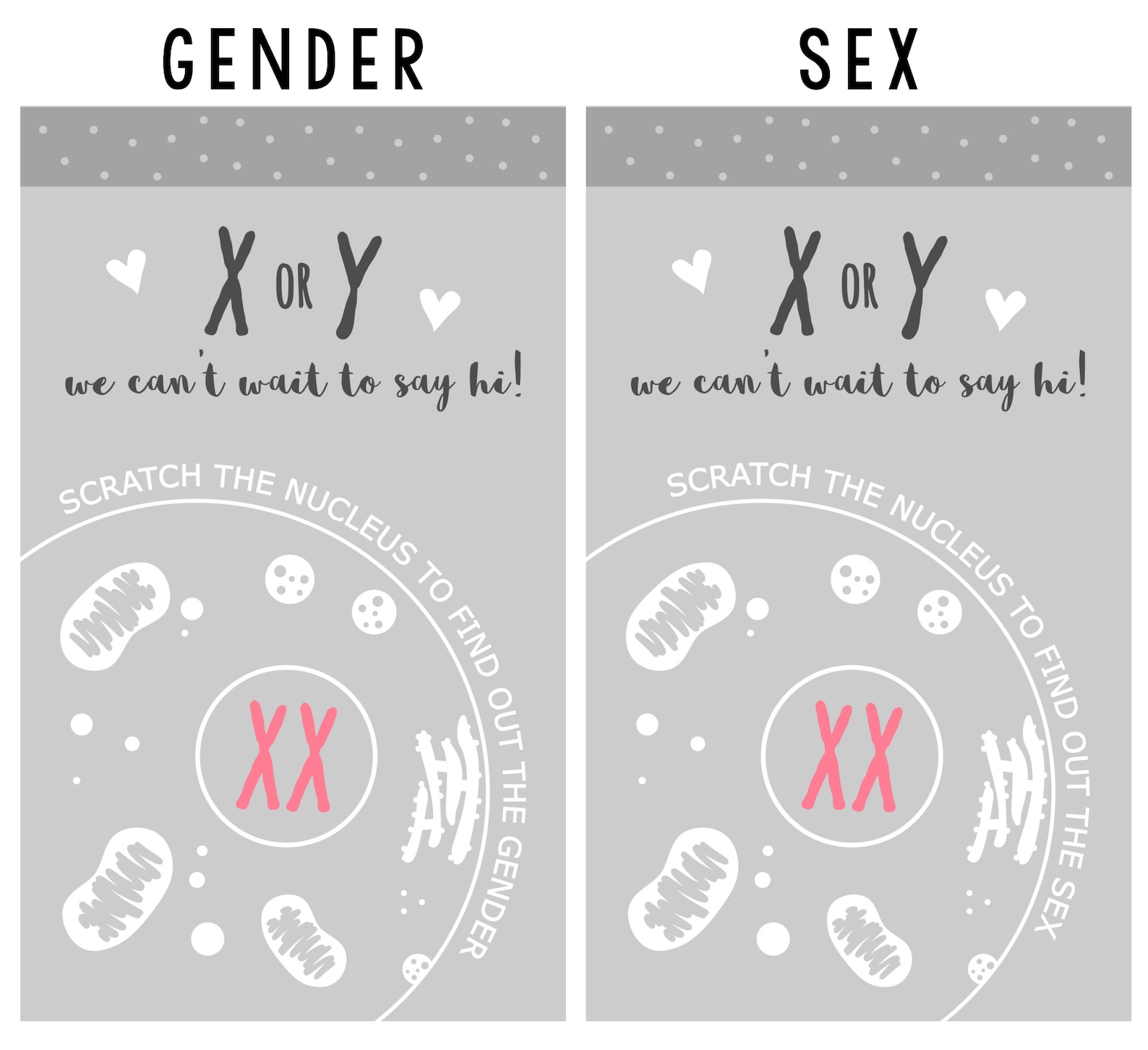 Xy Or Xx Gender Sex Reveal Scratch Off Cards Pack Of 12 Etsy