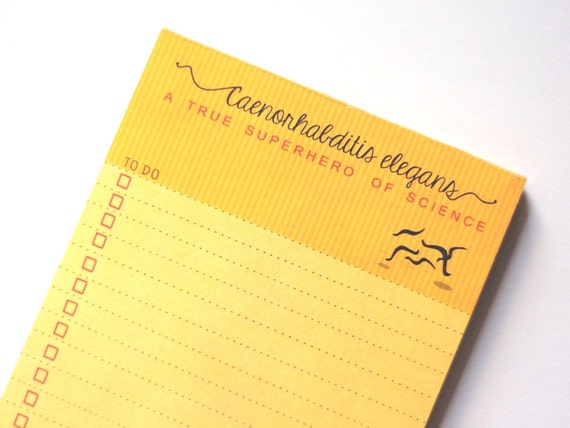 C. elegans TO DO LIST Notepad | A True Superhero Of Science | Biology Chemistry | Teacher, Friend, Student, Scientist, Professor, Engineer Il_570xn