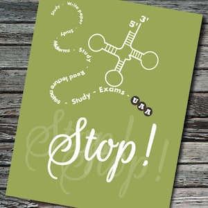 May include: A green poster with the text "Stop!" in white cursive writing. A white diagram of a cross with circles at the ends is in the upper part of the poster. The circles have text around them, including "Study", "Exams", "Read lecture notes", "Write paper", "Midterms", and "Apps". The text "5' 3'" is above the cross. The text "UAA" is below the cross.
