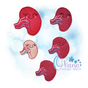 May include: A collection of felt applique designs featuring smiling, cartoon-style kidneys. The kidneys are primarily red, with blue and white veins, and one is a light peach color. The designs are from Ohana Applique Designs.