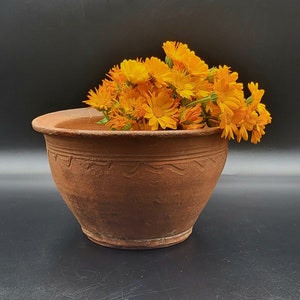 Peut inclure: Un pot de fleurs en terre cuite avec une surface rustique et texturée. Le pot est rempli d'un bouquet de fleurs de calendula orange vif.