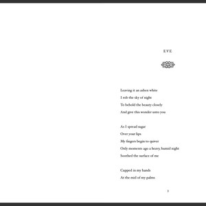 The Muse Of Love and Pain: a collection of dark poetry - Collector's Edition autographed by the author image 4