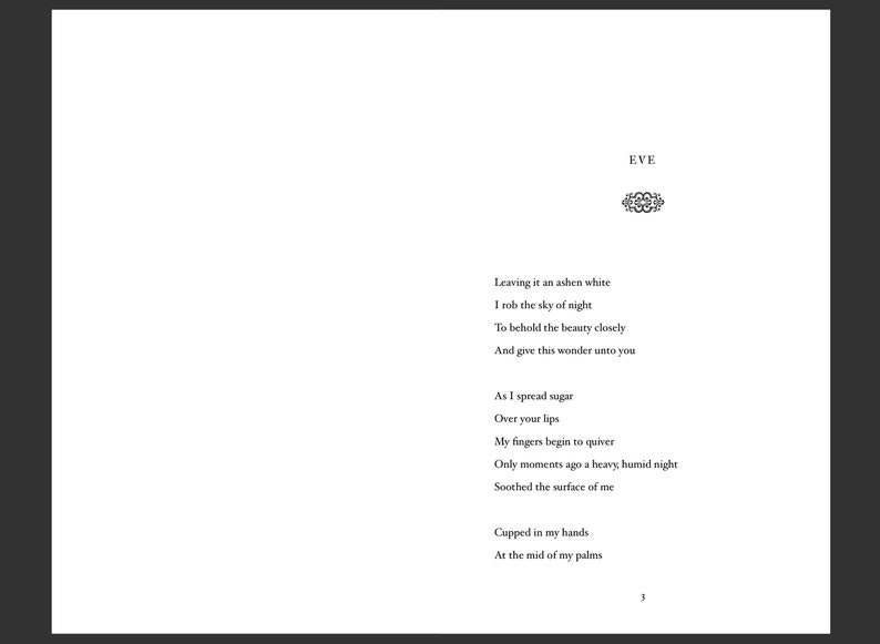 The Muse Of Love and Pain: a collection of dark poetry - Collector's Edition autographed by the author image 4