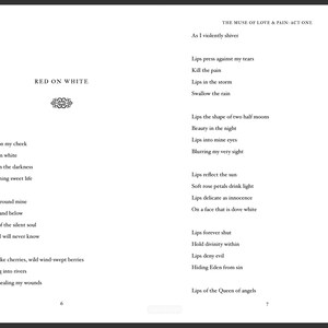 The Muse Of Love and Pain: a collection of dark poetry - Collector's Edition autographed by the author image 6