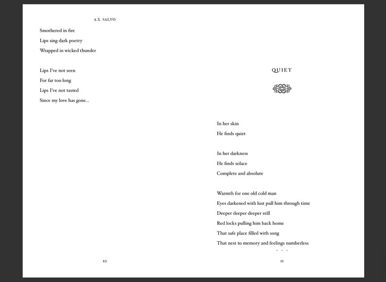 The Muse Of Love and Pain: a collection of dark poetry - Collector's Edition autographed by the author image 8