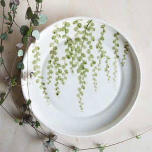 Plate - hanging plant - handmade - ceramics - painted plate