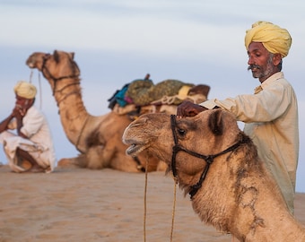 Portrait photography, Fine Art Print,People of India,Wall Art,Travel Photography,Maadat,Nature Photography,Camel,6x6,12x12,18x18,24x24,30x30