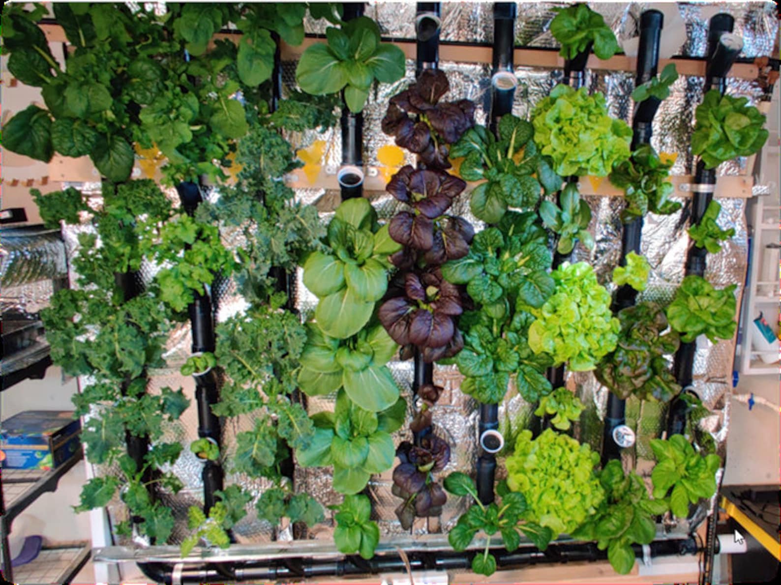 Hydroponic Plans - 50 Pages - Vertical Hydroponics Tutorial DIY - Etsy