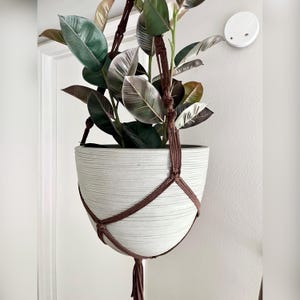 May include: A white ceramic hanging planter with a brown macrame rope. The planter is filled with a green leafy plant.
