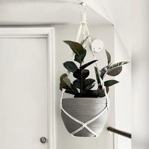May include: A dark green rubber plant with broad, glossy leaves potted in a round, grey, horizontally ribbed planter. The planter is suspended by a white macrame cord hanger featuring intricate knotted patterns and a metal ring at the top.