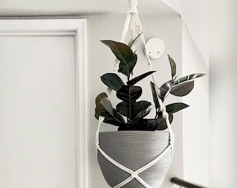 May include: A dark green rubber plant with broad, glossy leaves potted in a round, grey, horizontally ribbed planter. The planter is suspended by a white macrame cord hanger featuring intricate knotted patterns and a metal ring at the top.