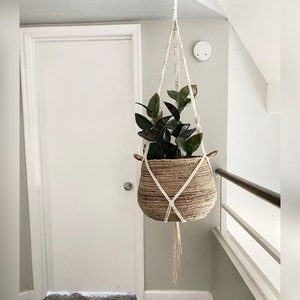 Puede incluir: Una planta colgante con hojas verde oscuro en una cesta tejida con un colgador de macramé blanco.