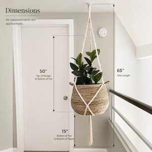 Peut inclure: Une suspension pour plantes en macramé contenant un panier tressé avec une plante verte. La suspension présente une longueur de 50 pouces du haut au bas du pot, 15 pouces du bas du pot au pompon, et 65 pouces de longueur totale selon le texte.