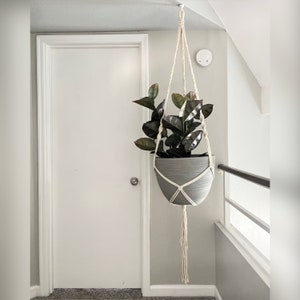 May include: A macrame plant hanger with a gray pot and a dark green leafy plant hanging from the ceiling in a room with a white door.