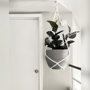 May include: A gray hanging planter with a white macrame rope, holding a dark green plant with large leaves. The planter is hanging from the ceiling in a room with a white door.