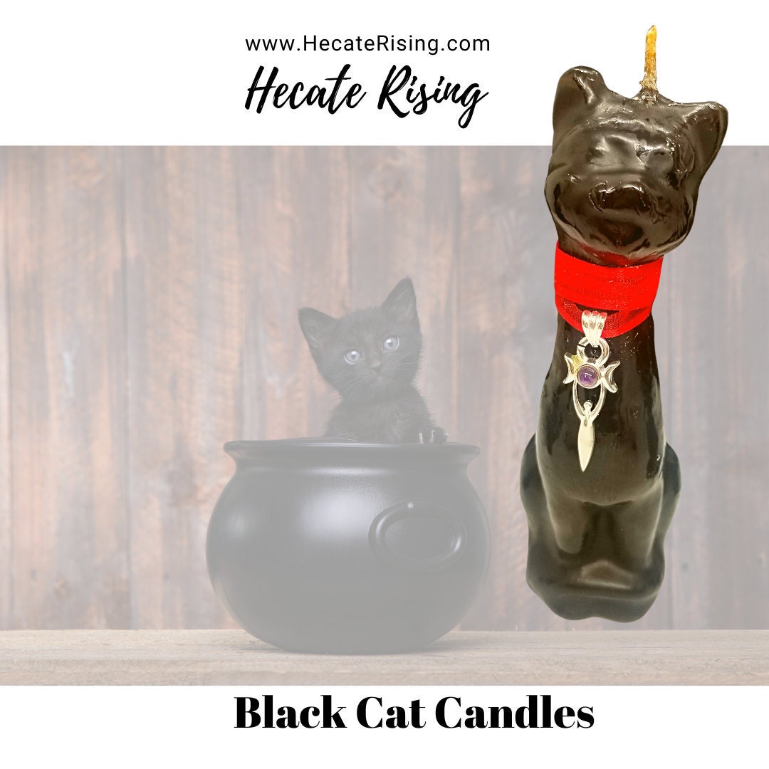 Black Cat Candle Etsy