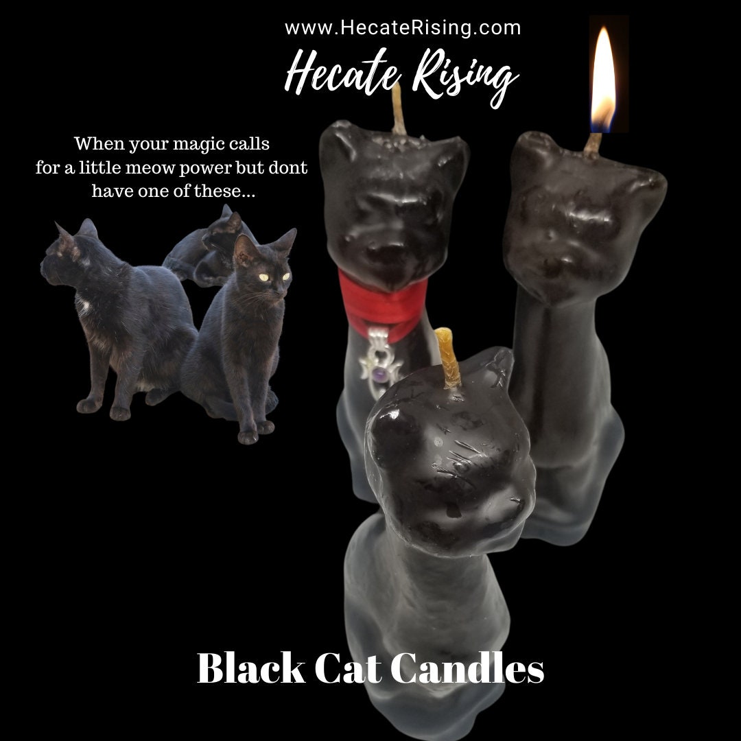 Black Cat Candle Etsy