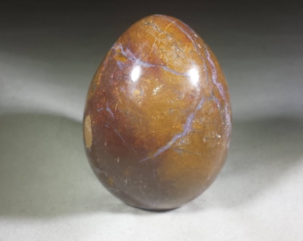 PETRIFIED WOOD EGG Natural Stone Hand Carved Gemstone Egg