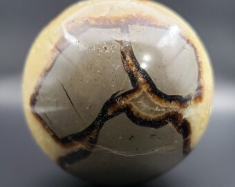 LARGE!!!  SEPTARIAN DRAGON Stone Sphere Natural Stone Hand Carved Gemstone Sphere 56mm [24]