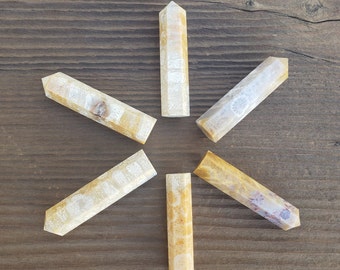 NATURAL CORAL FOSSIL Single Terminated Gemstone Crystal Pencil Point (One)